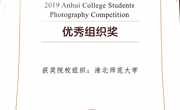 六合彩开奖记录查询网站
在2019年安徽省大学生摄影作品大赛中荣获“优秀组织奖”