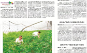 《淮北日报》报道淮师大六合彩开奖记录
学子“推普助力乡村振兴”暑期社会实践活动
